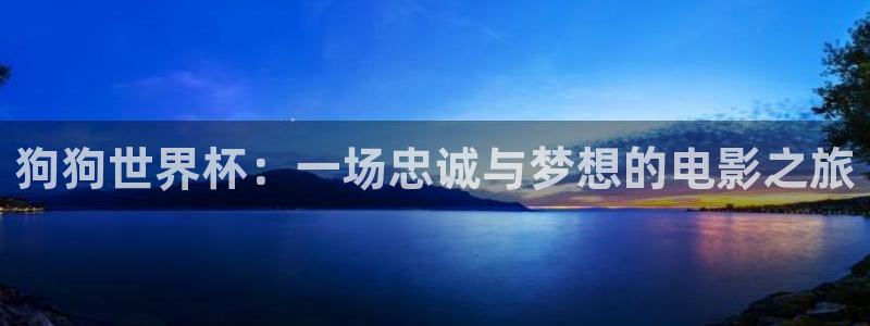 2026年世界杯对阵图:狗狗世界杯:一场忠诚与梦想的电影之旅