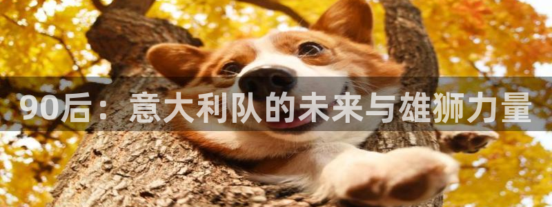 世界杯女足直播:90后:意大利队的未来与雄狮力量