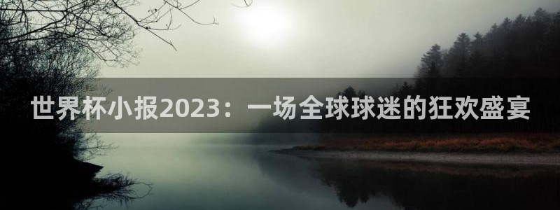 预选赛世界杯:世界杯小报2023:一场全球球迷的狂欢盛宴
