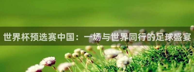 亚洲区世界杯预选赛:世界杯预选赛中国:一场与世界同行的足球盛宴