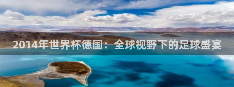 世界杯比赛:2014年世界杯德国:全球视野下的足球盛宴