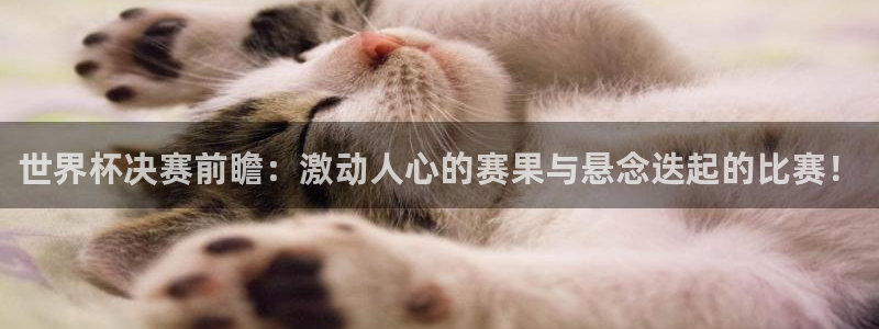 世界杯赛程表:世界杯决赛前瞻:激动人心的赛果与悬念迭起的比赛!