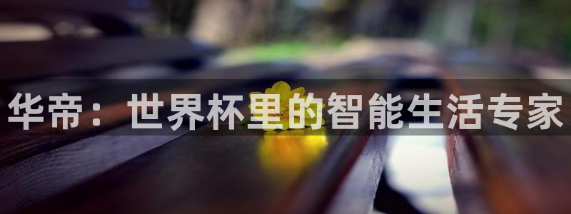 世界杯预选赛规则:华帝:世界杯里的智能生活专家