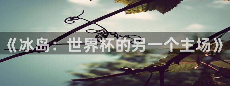 2026足球世界杯:《冰岛:世界杯的另一个主场》
